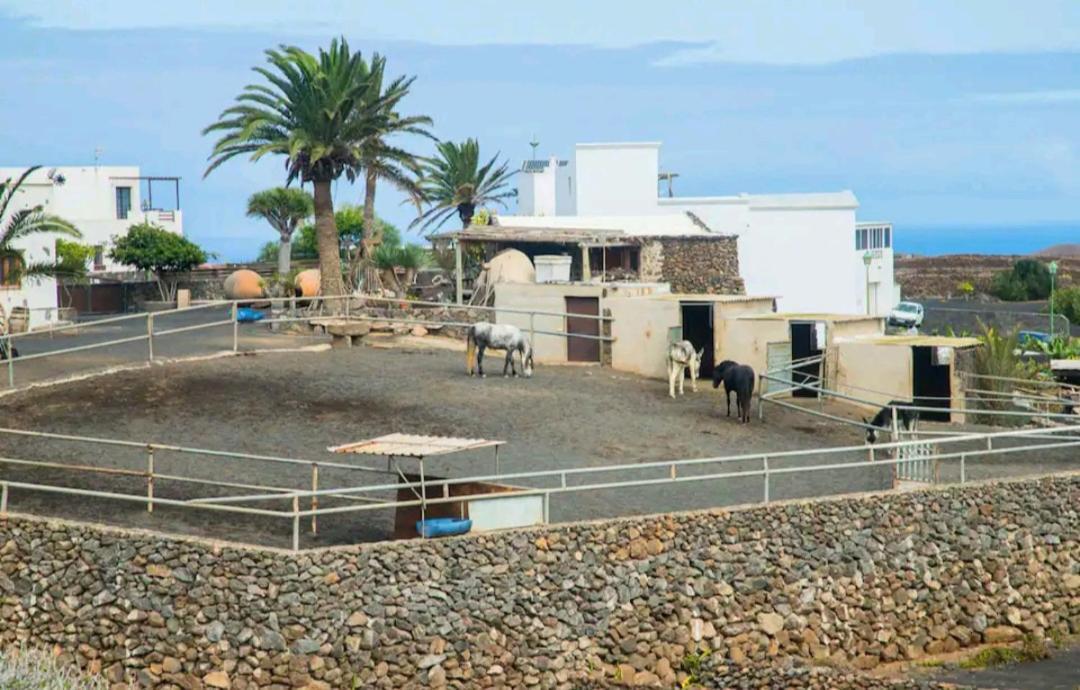 Casa Rural Yeyo En El Crater Del Volcan Tinguaton Екстер'єр фото